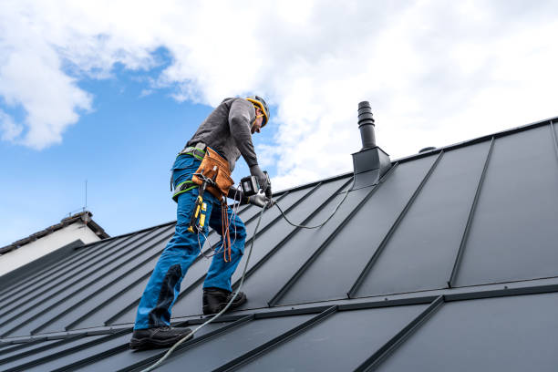 Best Solar Panel Roofing Installation  in Glendale, AZ